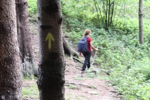 Il Cammino di Oropa della Serra - Variante ultima tappa - Tramvia da Graglia a Oropa