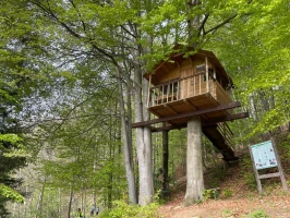 Il Cammino di Oropa orientale - Tappa 1 - Da Vallemosso al Bocchetto Sessera