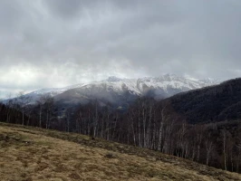 Monte Casto