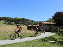 Tour dei birrifici artigianali biellesi