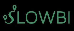 SlowBI, Il progetto