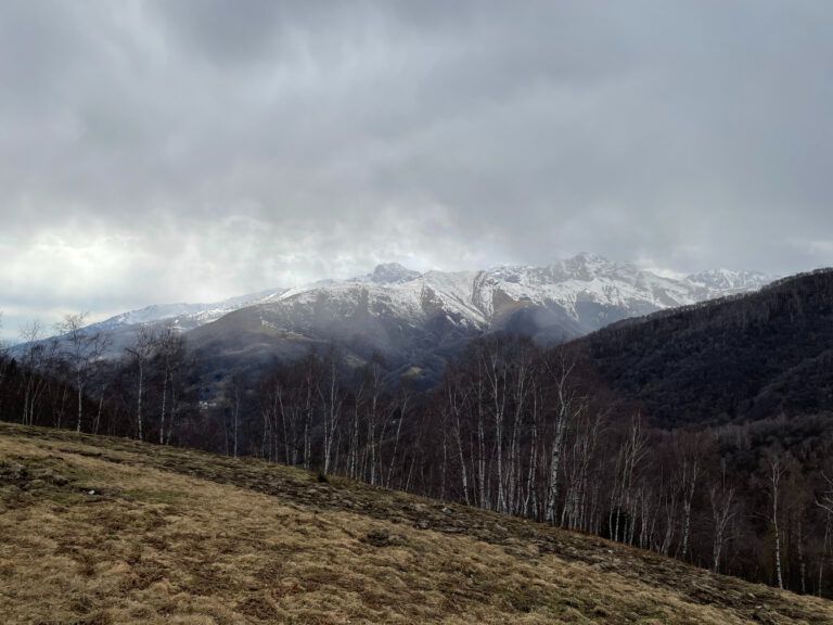 Monte Casto